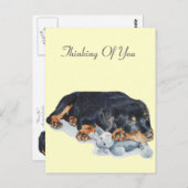 可愛いロットワイラー子犬の可愛い子犬テディベアアート ポストカード (正面/裏面)