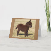 可愛いロバが**ハッピーバースデーを** カード (正面)