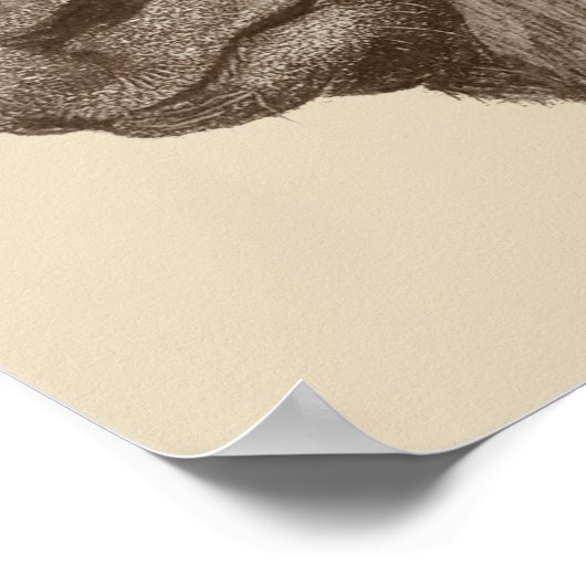 可愛いロバの生き生きとした鉛筆スケッチ ポスター (角)