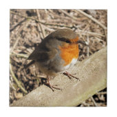 可愛いロビン タイル (正面)