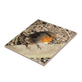 可愛いロビン タイル (側面)