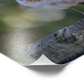 可愛いロビン フォトプリント            (角)