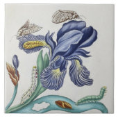 可愛いヴィンテージの花と虫の陶瓦 タイル (正面)