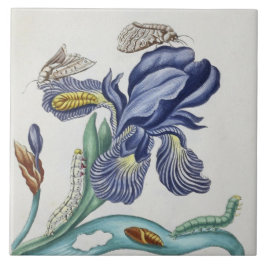 可愛いヴィンテージの花と虫の陶瓦 タイル