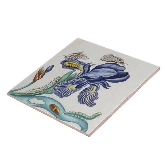 可愛いヴィンテージの花と虫の陶瓦 タイル (側面)