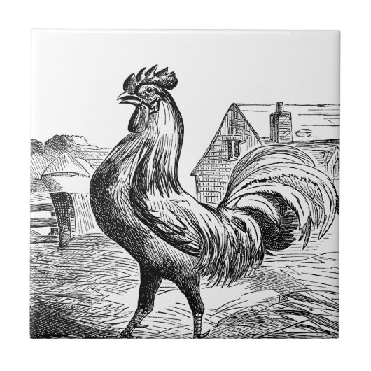 可愛いヴィンテージの鶏の農家の装飾タイル タイル (正面)