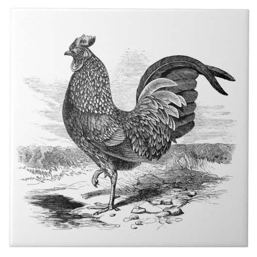 可愛いヴィンテージの鶏の農家の装飾タイル タイル (正面)