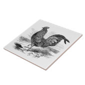 可愛いヴィンテージの鶏の農家の装飾タイル タイル (側面)