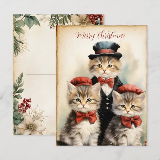 可愛い三匹の子猫家族のクリスマス ポストカード (正面/裏面)