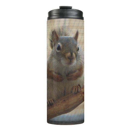 可愛い丸いリスのブランチ タンブラー (正面)