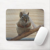 可愛い丸いリスのブランチ マウスパッド (マウス)