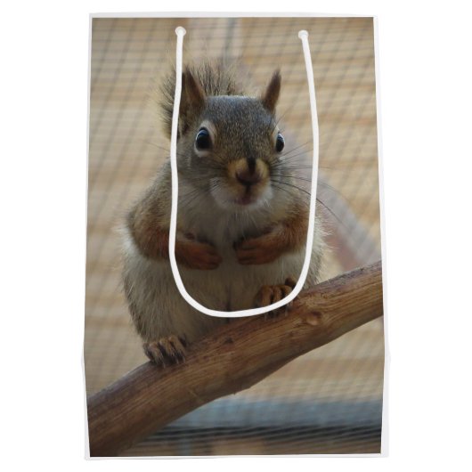 可愛い丸いリスのブランチ ミディアムペーパーバッグ (裏面)