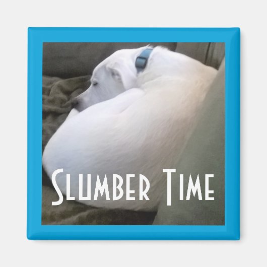 可愛い丸っぽい白い眠っている子犬の眠りパーティー マグネット (正面)