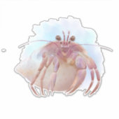 可愛い仙人カニのスケッチ シール (正面)