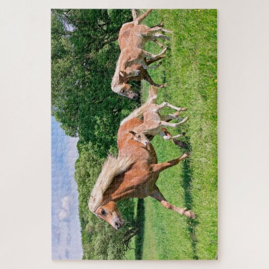 可愛い仲間とハフリンガー走ウマの写真おもしろい* ジグソーパズル (縦)