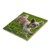 可愛い写真ランニングシーズー（犬）の頭犬 タイル (側面)