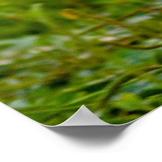 可愛い写真ランニングシーズー（犬）の頭犬 ポスター (角)