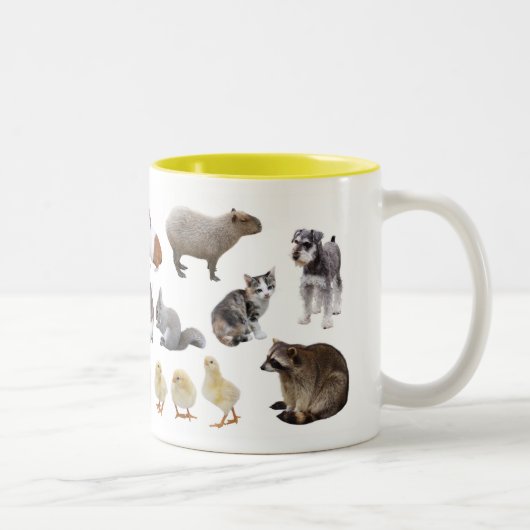 可愛い動物マグカップ ツートーンマグカップ (右)