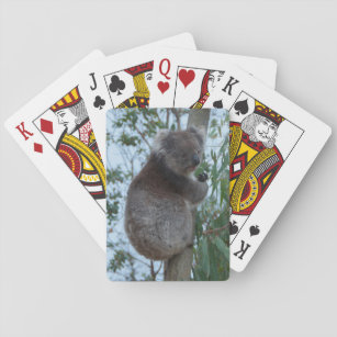 可愛い可愛いコアラの木の動物野生動物オーストラリア トランプ