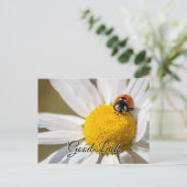 可愛い可愛いラディバグで頑張れ！ハガキ ポストカード (スタンド正面)