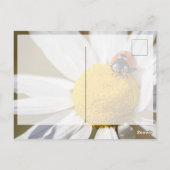 可愛い可愛いラディバグで頑張れ！ハガキ ポストカード (裏面)