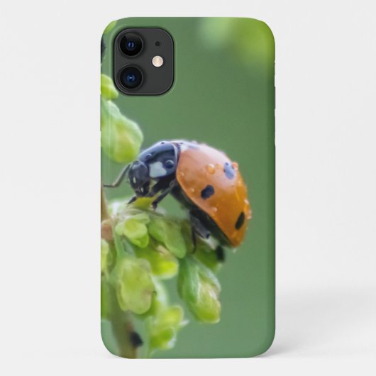 可愛い可愛いラディバ頭が切れるグ! Case-Mate iPhoneケース (裏面)