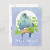 可愛い可愛い可愛いトロピカルパロットアドレスニューホーム 案内ポストカード (正面/裏面)