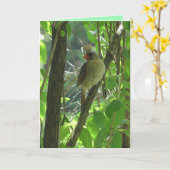 可愛い女性(鳥)ショウジョウコウカンチョウイン空白のツリー カード (黄色い花)