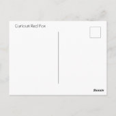 可愛い好奇心の赤いキツネ「どうしたの?」 ポストカード (裏面)