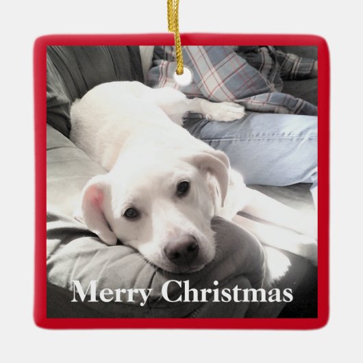 可愛い子犬とパパスクエア赤と緑 セラミックオーナメント (正面)
