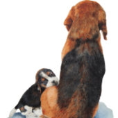 可愛い子犬と犬 キーホルダー