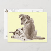 可愛い子犬のミックスとテディ犬のリアル芸術 ポストカード (正面/裏面)