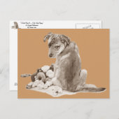 可愛い子犬のミックスとテディ犬のリアル芸術 ポストカード (正面/裏面)