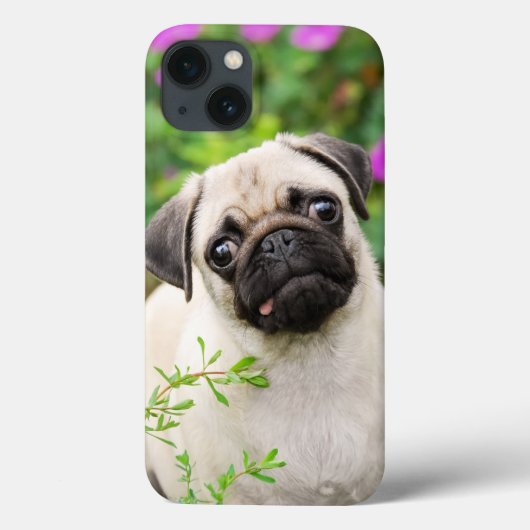 可愛い子犬パピドッグ顔ペット写真 – Case-Mate iPhoneケース (裏面)