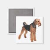 可愛い子犬ママ犬の恋人Airedale Terrier マグネット (正面/裏面)
