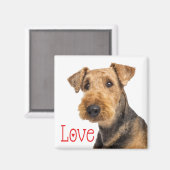 可愛い子犬ママ犬の恋人Airedale Terrier マグネット (正面/裏面)