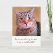 可愛い子猫がん支援 カード (正面)