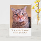 可愛い子猫がん支援 カード (黄色い花)