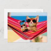 可愛い子猫がハンモックに寝かされていた ポストカード (正面/裏面)