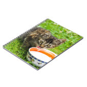 可愛い子猫がボウルに入れて飲む ノートブック (左側)