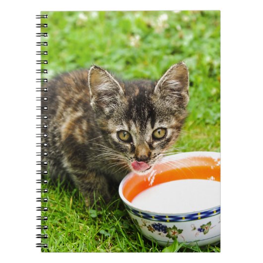 可愛い子猫がボウルに入れて飲む ノートブック (正面)