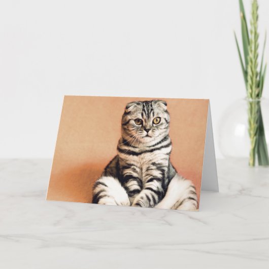 可愛い子猫が手足を伸ばした カード (正面)