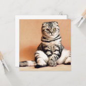 可愛い子猫が手足を伸ばした カード (正面/裏面インサイチュ)