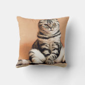 可愛い子猫が手足を伸ばした クッション (裏面)