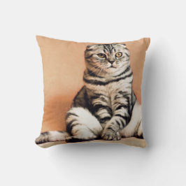 可愛い子猫が手足を伸ばした クッション