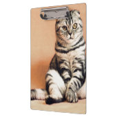 可愛い子猫が手足を伸ばした クリップボード (左)