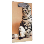 可愛い子猫が手足を伸ばした クリップボード (右)