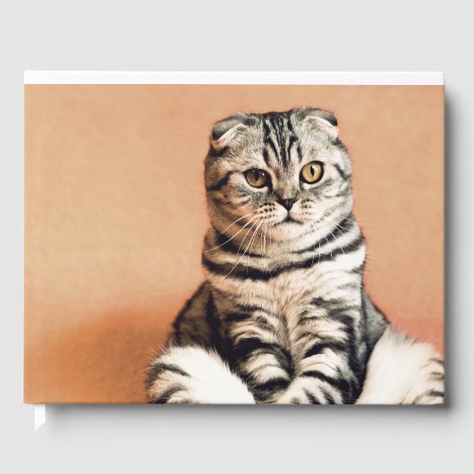 可愛い子猫が手足を伸ばした ゲストブック (正面)