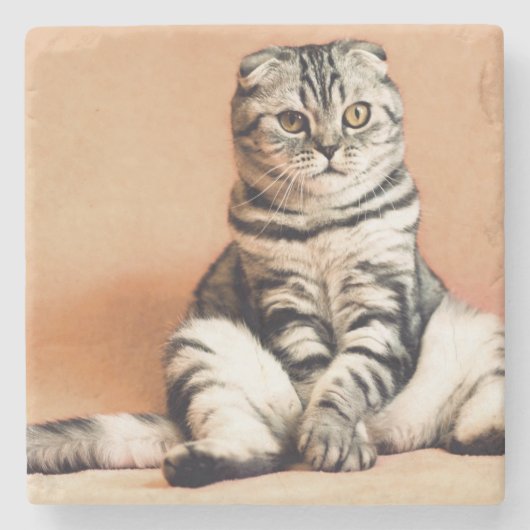可愛い子猫が手足を伸ばした ストーンコースター (正面)