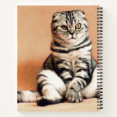 可愛い子猫が手足を伸ばした ノートブック (裏面)